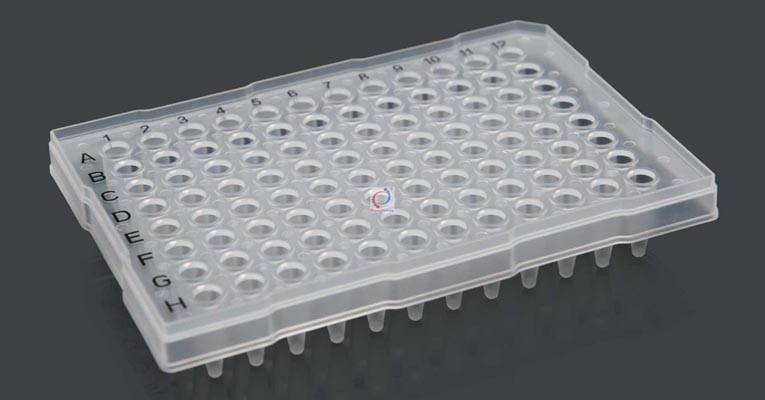 0.2ml 半裙邊96孔板 Raised Rim