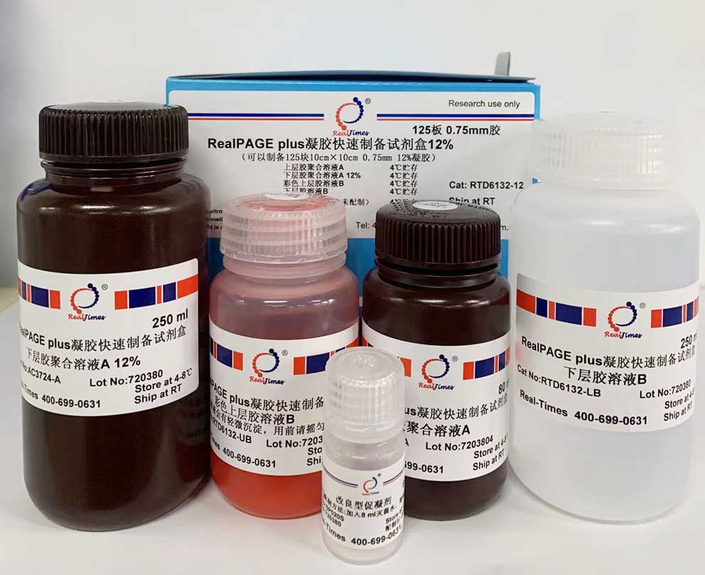 RealPAGE類梯度PAGE凝膠快速電泳試劑盒